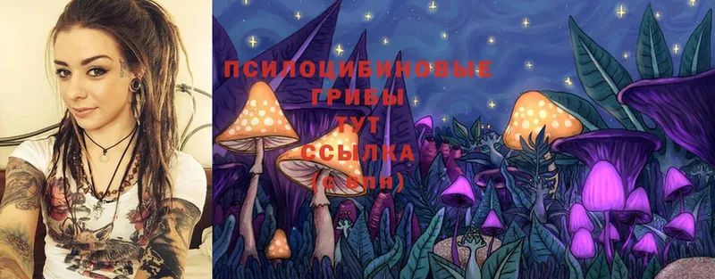 Псилоцибиновые грибы MAGIC MUSHROOMS  Орск 